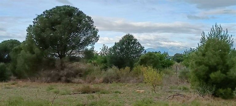 Constructible land with view